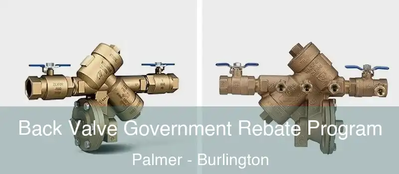 Back Valve Government Rebate Program Palmer - Burlington