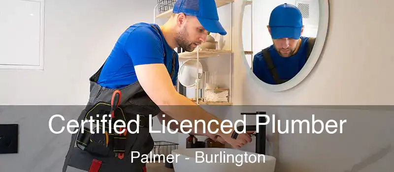  Certified Licenced Plumber Palmer - Burlington