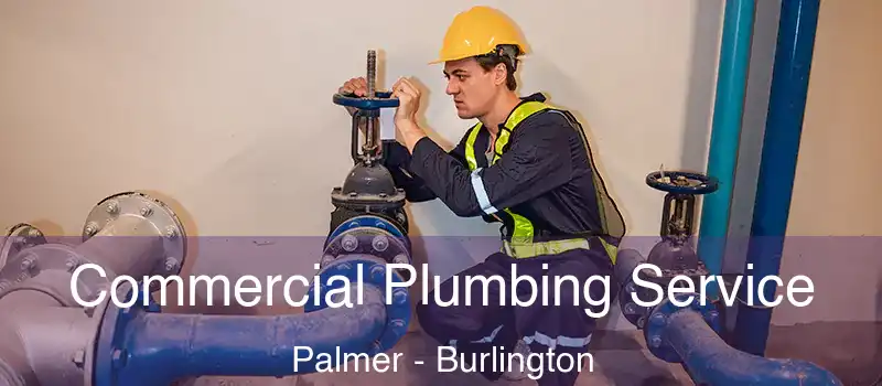  Commercial Plumbing Service Palmer - Burlington