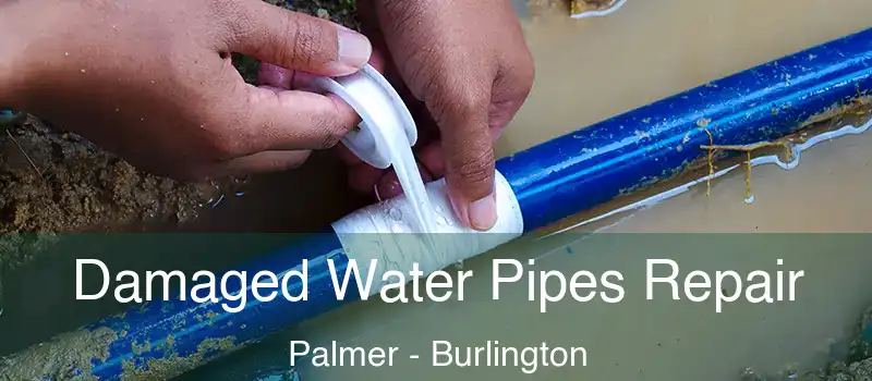  Damaged Water Pipes Repair Palmer - Burlington