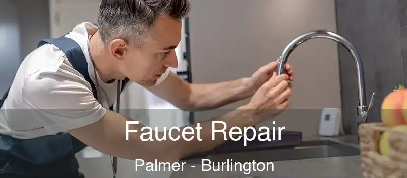  Faucet Repair Palmer - Burlington