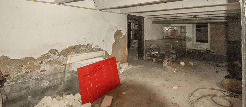 Home Basement Renovation in Palmer, Burlington