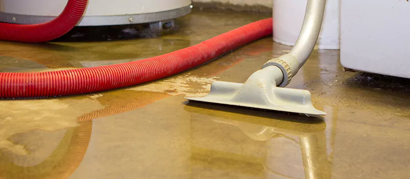 Professional Sewer Backup Cleanup Services in Palmer, Burlington