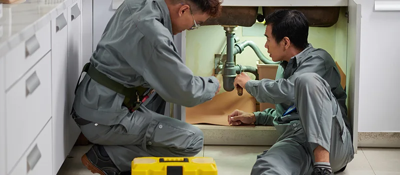 Commercial Bonded and Insured Plumber Services in Palmer, Burlington