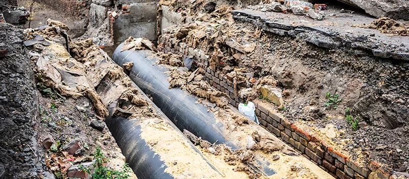 Commercial Sewer Tree Roots Damage Solutions in Palmer, Burlington