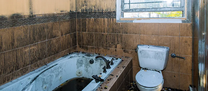 Residential Water Damage Restoration in Palmer, Burlington