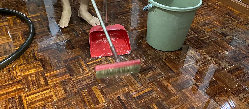 Water Removal And Restoration Services in Palmer, Burlington