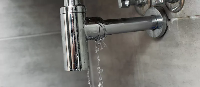 Plumbing Leak Detection Repair in Palmer, Burlington