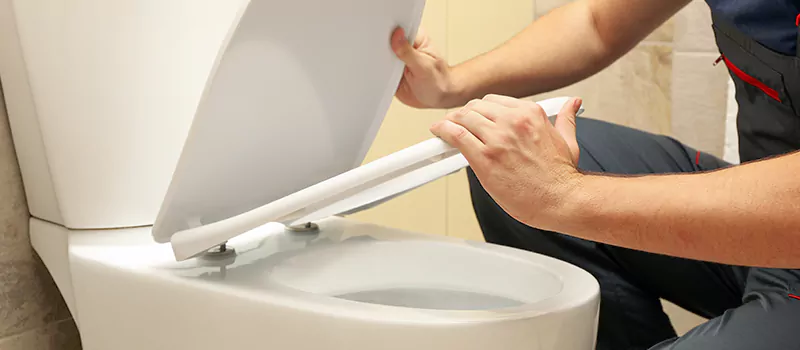 Damaged Toilet Parts Replacement Services in Palmer, Burlington