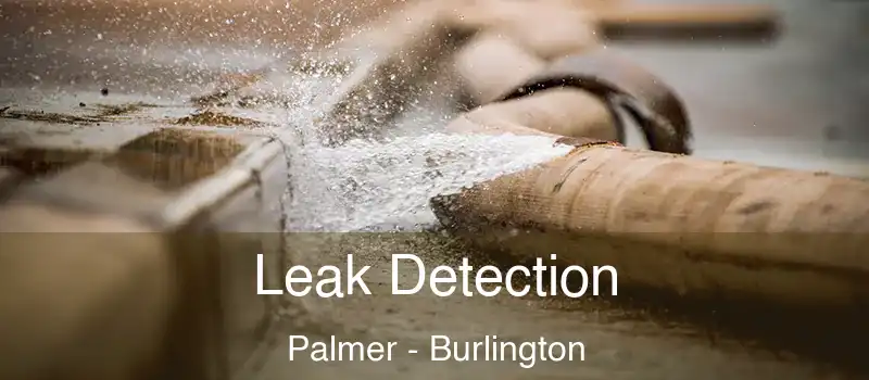  Leak Detection Palmer - Burlington