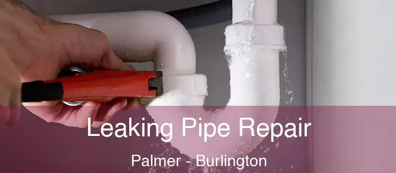  Leaking Pipe Repair Palmer - Burlington
