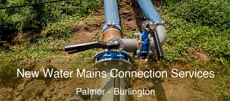  New Water Mains Connection Services Palmer - Burlington