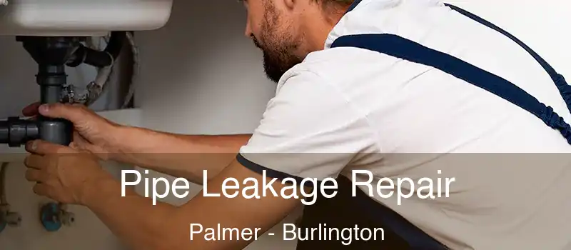  Pipe Leakage Repair Palmer - Burlington