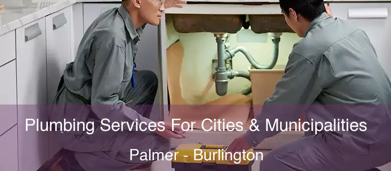  Plumbing Services For Cities & Municipalities Palmer - Burlington