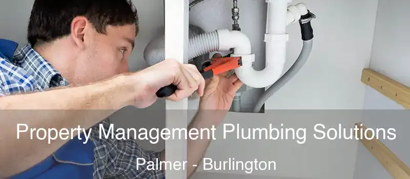  Property Management Plumbing Solutions Palmer - Burlington