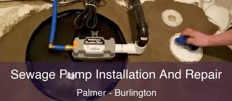  Sewage Pump Installation And Repair Palmer - Burlington