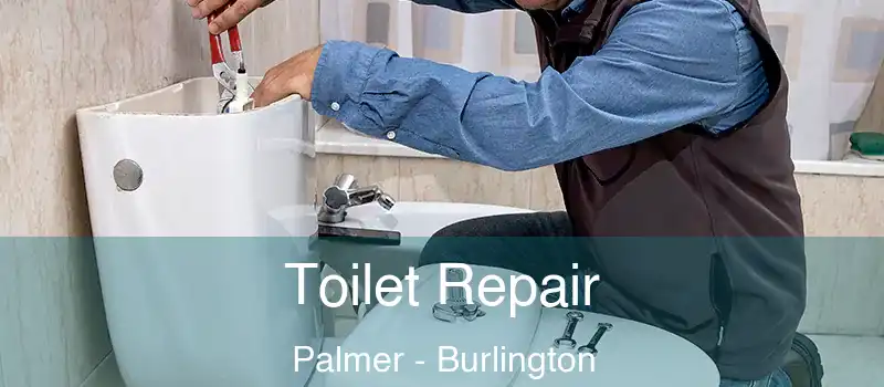  Toilet Repair Palmer - Burlington
