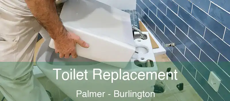 Toilet Replacement Palmer - Burlington