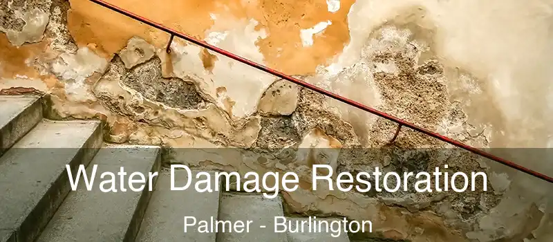  Water Damage Restoration Palmer - Burlington