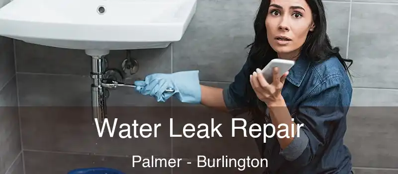  Water Leak Repair Palmer - Burlington